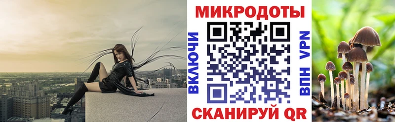 Псилоцибиновые грибы мицелий кракен ССЫЛКА Нижняя Салда как найти наркотики